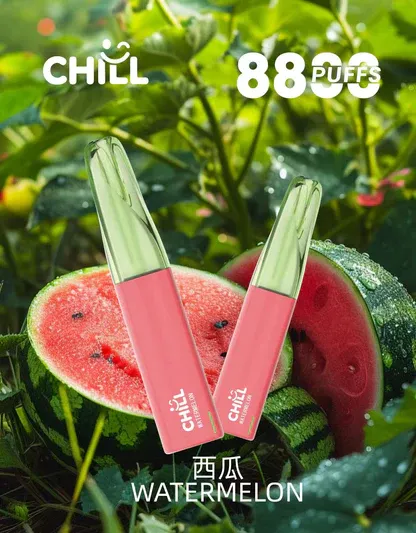 【鴨嘴獸CHILL】8800口潮流拋棄式小煙｜濃郁順喉玩家首選｜台灣現貨 7-11貨到