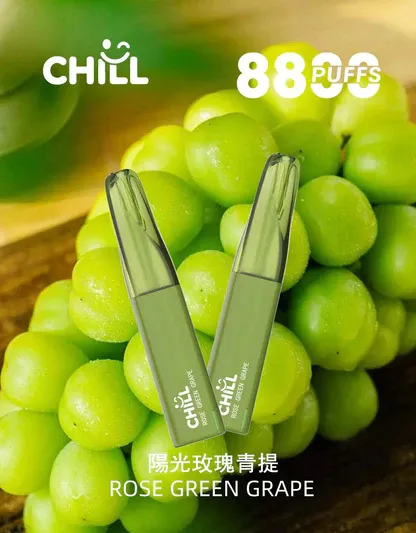 【鴨嘴獸CHILL】8800口潮流拋棄式小煙｜濃郁順喉玩家首選｜台灣現貨 7-11貨到
