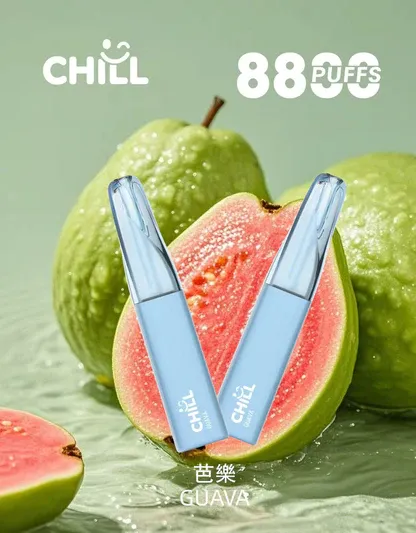 【鴨嘴獸CHILL】8800口潮流拋棄式小煙｜濃郁順喉玩家首選｜台灣現貨 7-11貨到