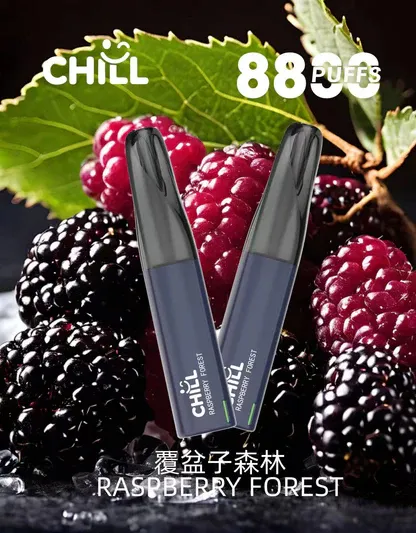 【鴨嘴獸CHILL】8800口潮流拋棄式小煙｜濃郁順喉玩家首選｜台灣現貨 7-11貨到