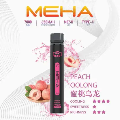 【MEHA XBAR 魅嗨】小黑條7000口拋棄式小煙｜3%丁鹽強勁擊喉｜台灣現貨免運