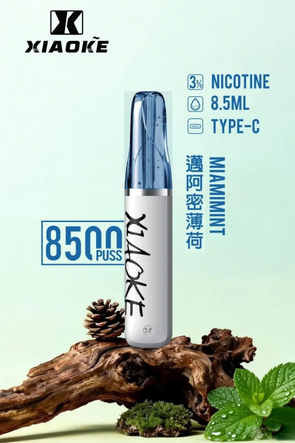 【XIAOKE 梟客】8500口拋棄式電子煙｜8.5ml儲油量 × Type-C充電設計｜台灣現貨秒發
