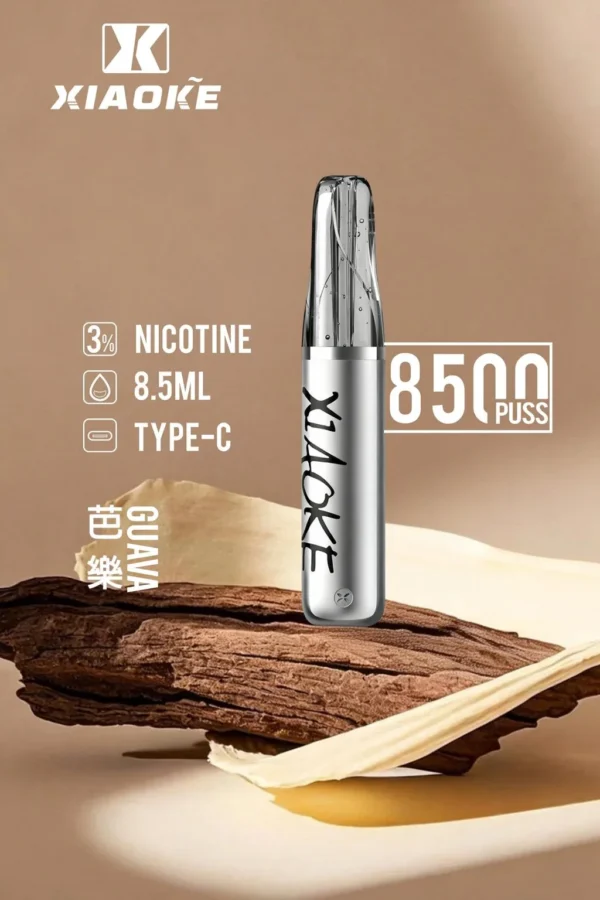 【XIAOKE 梟客】8500口拋棄式電子煙｜8.5ml儲油量 × Type-C充電設計｜台灣現貨秒發