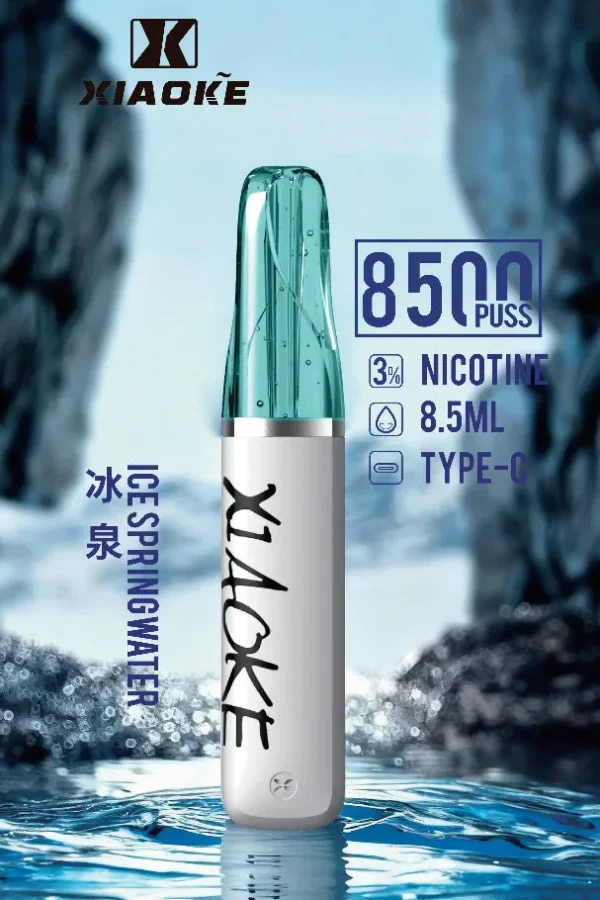 【XIAOKE 梟客】8500口拋棄式電子煙｜8.5ml儲油量 × Type-C充電設計｜台灣現貨秒發