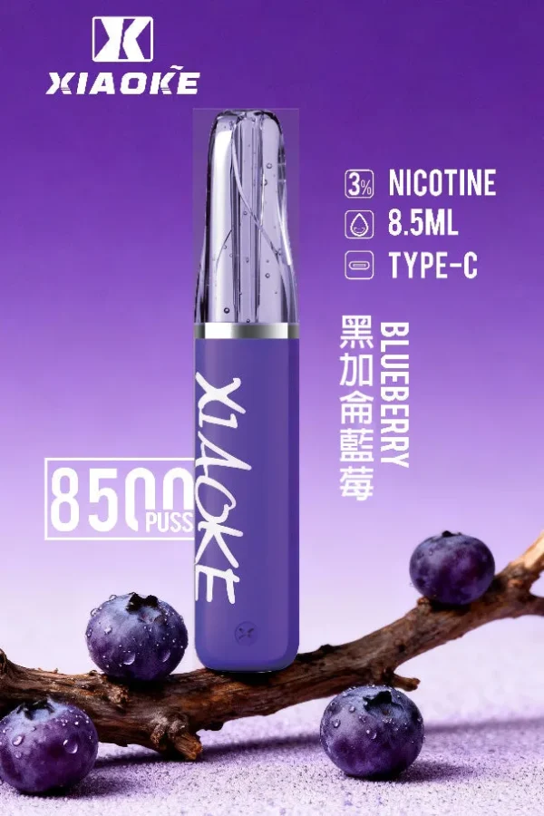 【XIAOKE 梟客】8500口拋棄式電子煙｜8.5ml儲油量 × Type-C充電設計｜台灣現貨秒發