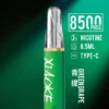 【XIAOKE 梟客】8500口拋棄式電子煙｜8.5ml儲油量 × Type-C充電設計｜台灣現貨秒發