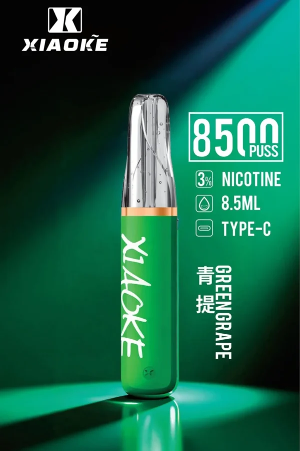 【XIAOKE 梟客】8500口拋棄式電子煙｜8.5ml儲油量 × Type-C充電設計｜台灣現貨秒發
