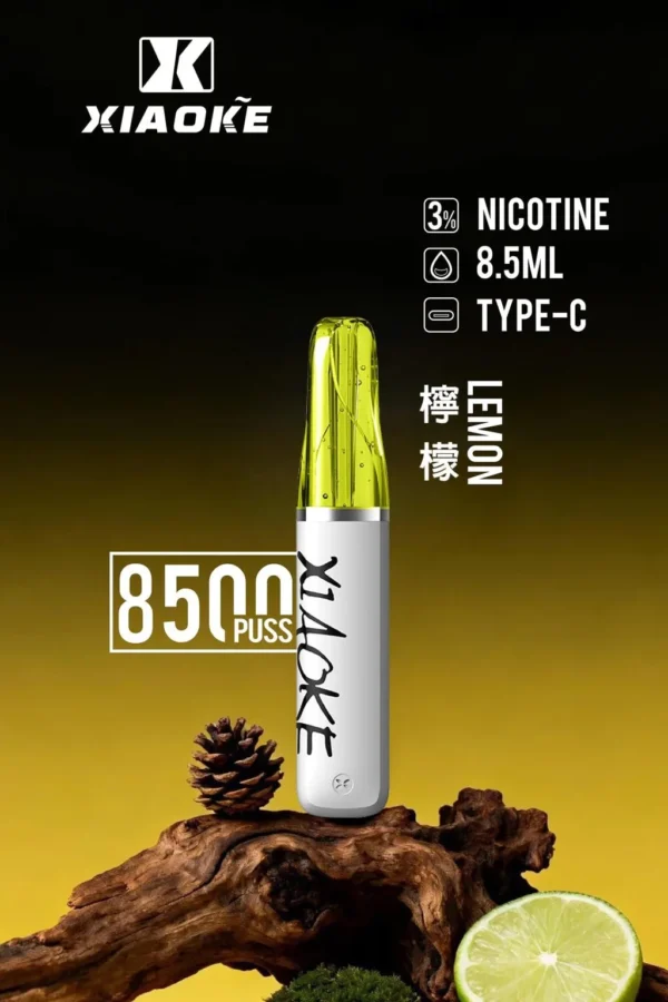 【XIAOKE 梟客】8500口拋棄式電子煙｜8.5ml儲油量 × Type-C充電設計｜台灣現貨秒發